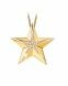 Asche Anhänger 'Stern' 14-Karat-Gold mit Diamanten