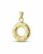 Asche Anhänger 14-Karat-Gold 'Ring mit Pfoten'