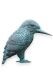 Gedenkfigur Eisvogel aus Bronze - nur begrenzt verfügbar
