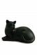 Schwarzfarbene Katzenurne