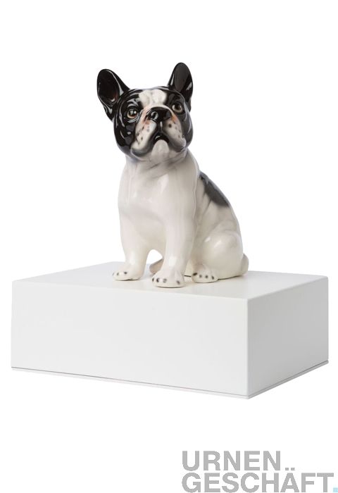 Herske nylon Typisk Besondere Keramik Tierurne Bulldoge | Urnen online kaufen