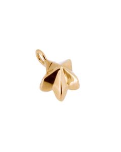 Asche Element 14 Karat Golden Stern/Blume