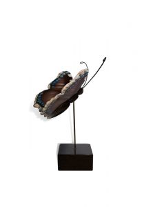 Schmetterling Klein-Urne