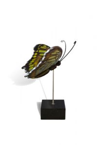 Schmetterling Klein-Urne