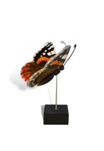 Schmetterling Klein-Urne