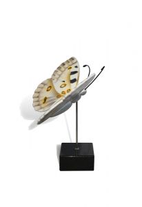 Schmetterling Mini-Urne 'Apollofalter'