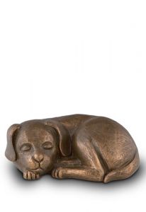 Hundeurne 'Schlafender Hund'  