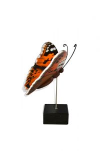 Schmetterling Klein-Urne