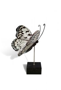 Schmetterling Klein-Urne