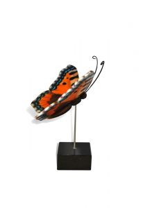 Schmetterling Klein-Urne