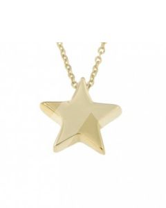 Symbol Halskette mit Anhänger 'Stern' aus 14 Karat Gelbgold