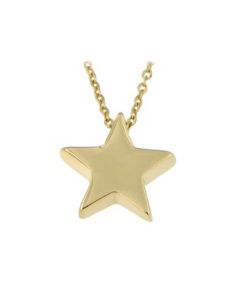 Symbol Halskette mit Anhänger 'Stern' aus 14 Karat Gelbgold